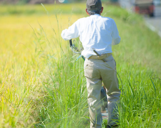 畔の除草対策【法面防草シート敷設】