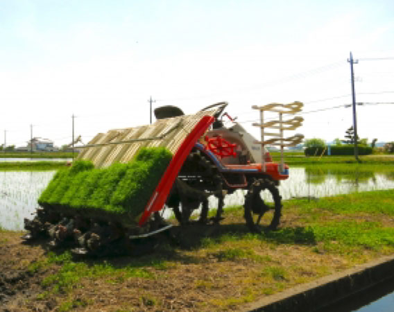 田んぼへの乗入口【搬入口工事】